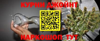 стаф Заводоуковск