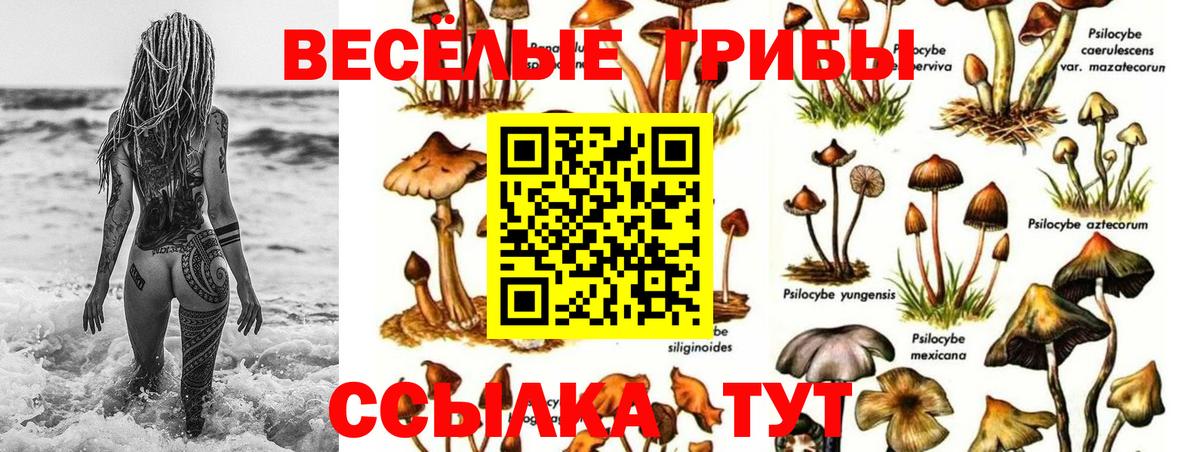 Кумертау  Галлюциногенные грибы прущие грибы  где продают наркотики  Вход с VPN 